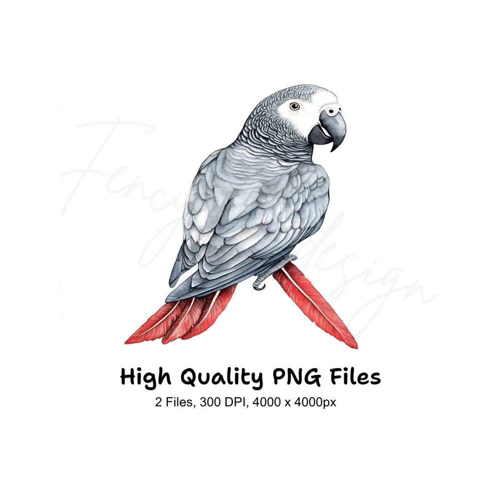 African Grey Parrot Clipart Bundle