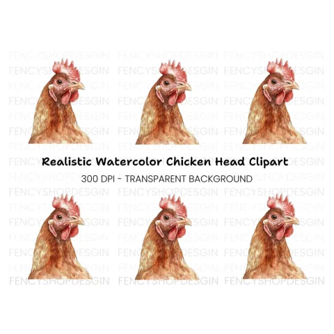 Detailed Hen Head Clipart Bundle