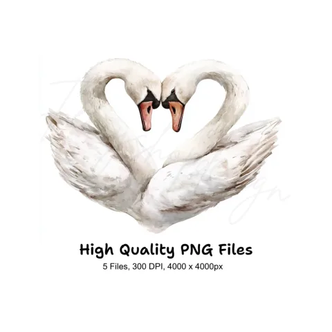Swan Heart Clipart Bundle