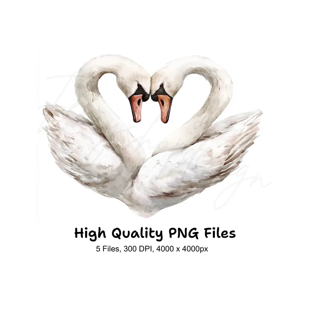 Swan Heart Clipart Bundle
