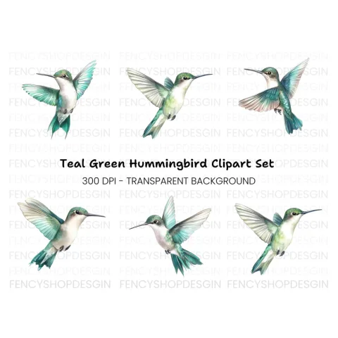 Hummingbird Clipart Bundle