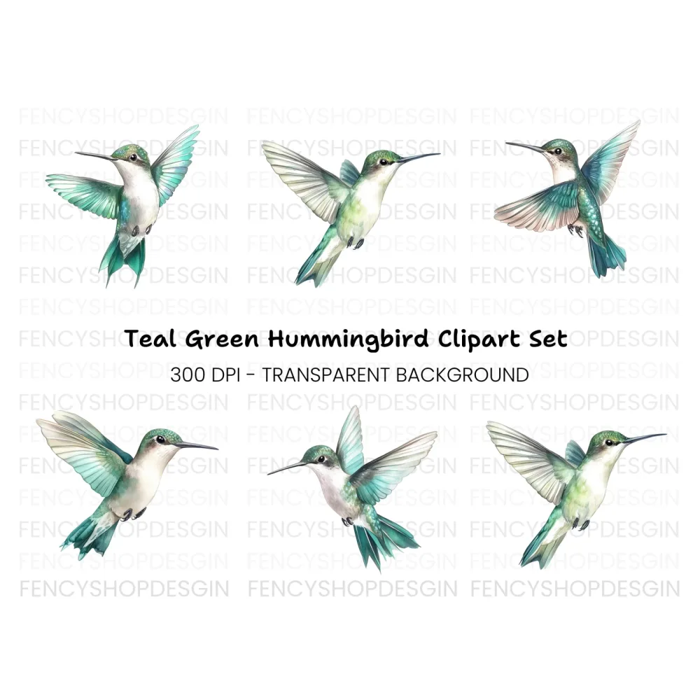 Hummingbird Clipart Bundle