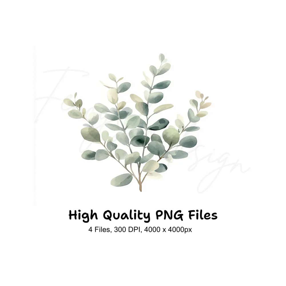 Eucalyptus Leaves Clipart Bundle