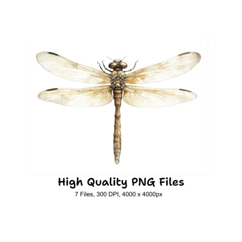 Delicate Dragonfly Clipart Bundle
