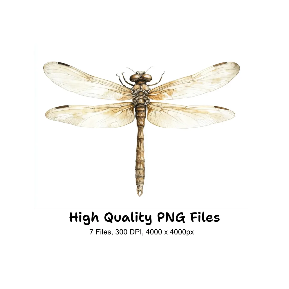 Delicate Dragonfly Clipart Bundle