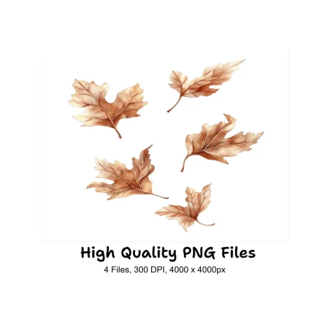Autumn Leaves Clipart Bundle