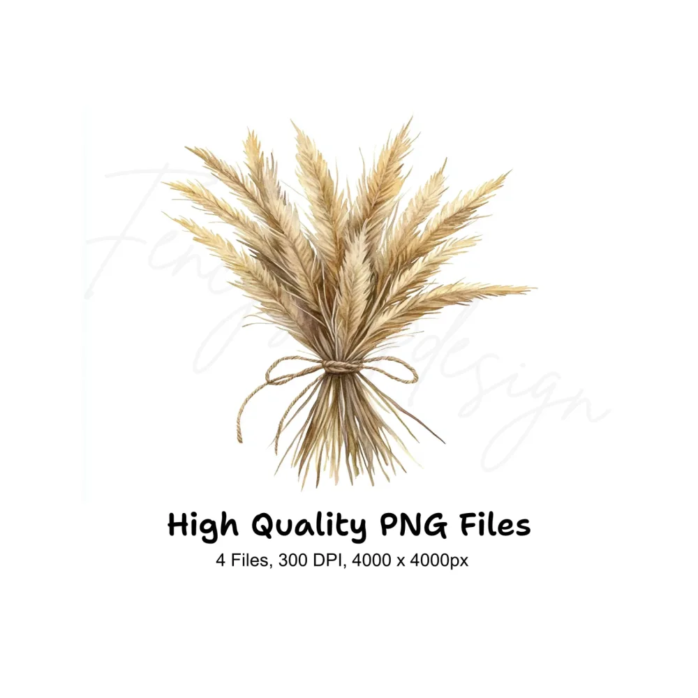 Pampas Grass Bouquets Clipart Bundle