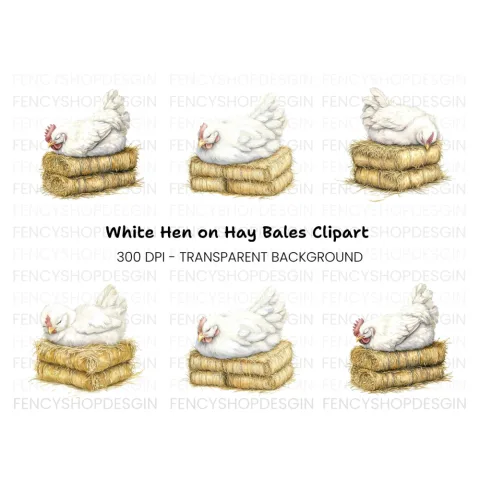Sleeping White Chickens on Hay Bales Clipart Bundle