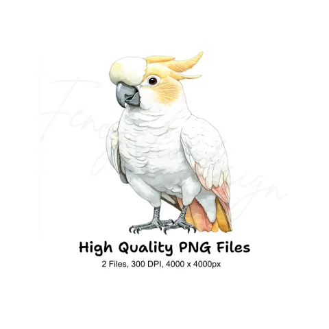 Cockatoo Clipart Bundle
