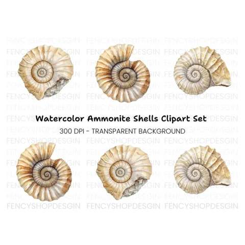 Ammonite Shells Clipart Bundle