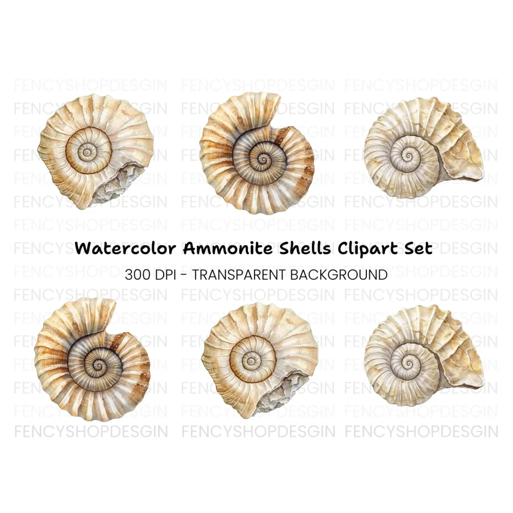Ammonite Shells Clipart Bundle