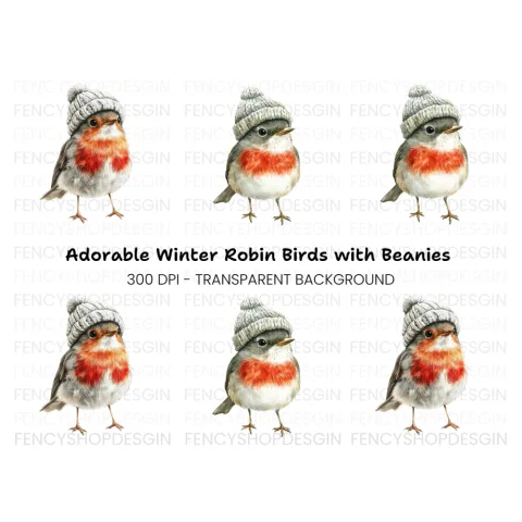 Cute Robin Bird in Winter Hat Clipart Bundle
