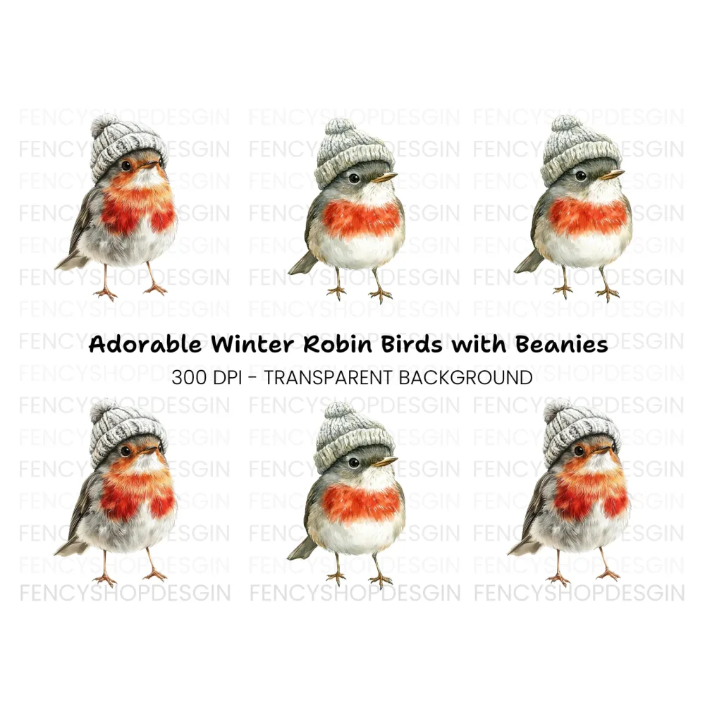 Cute Robin Bird in Winter Hat Clipart Bundle