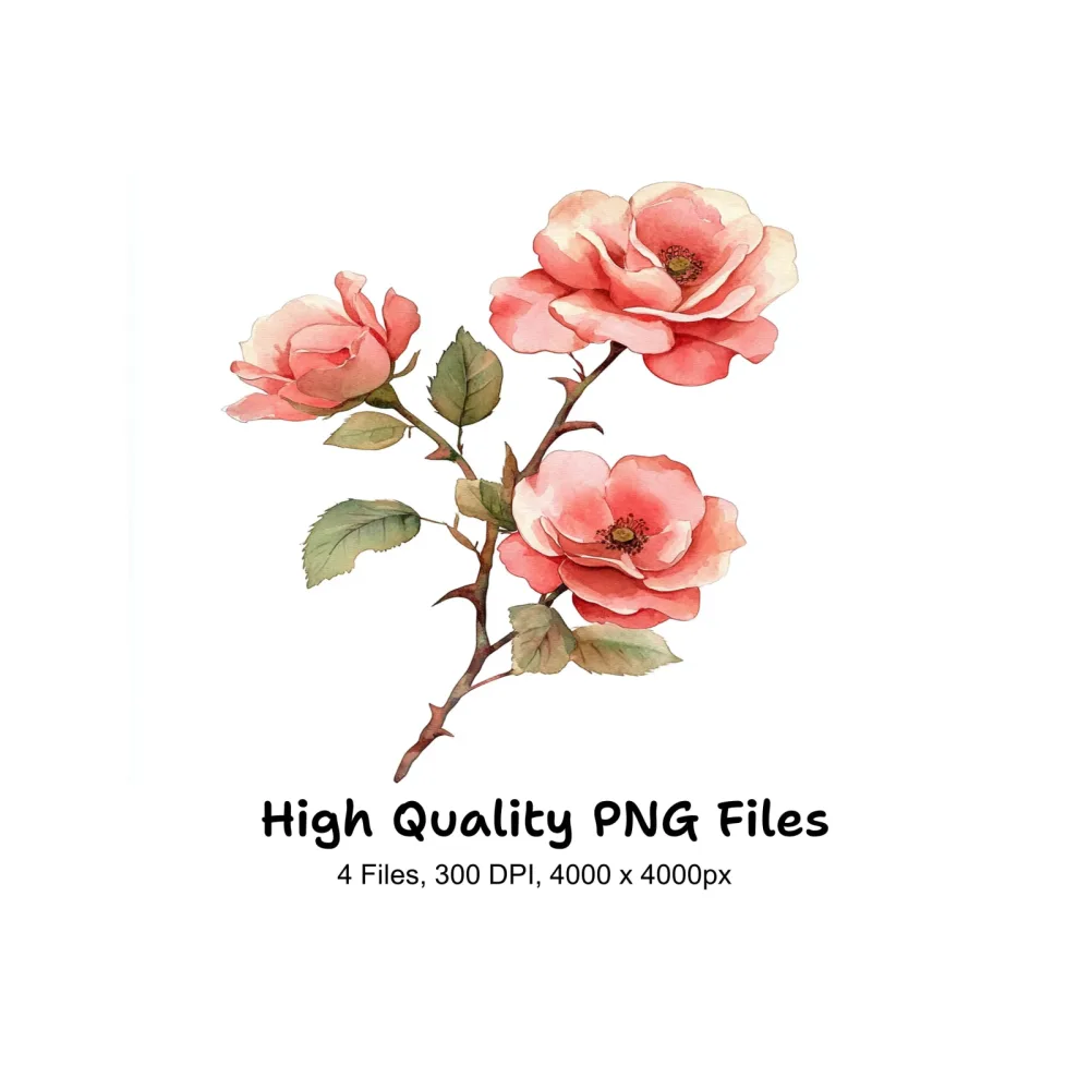 Pink Rose Clipart Bundle