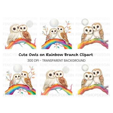 Cute Owl Couple on Rainbow Branch Clipart Bundle