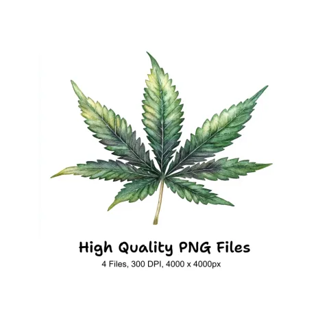 Cannabis Leaves Clipart Bundle