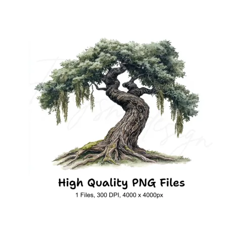 Twisted Oak Tree Illustration Clipart Bundle