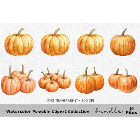 Pumpkin Clipart Bundle