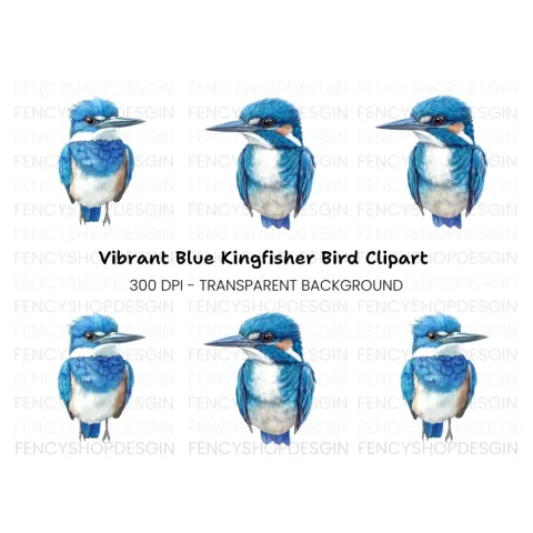 Vibrant Blue Kingfisher Bird Clipart Bundle