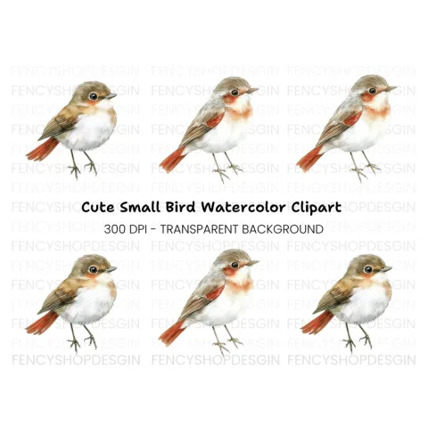 Cute Bird Clipart Bundle