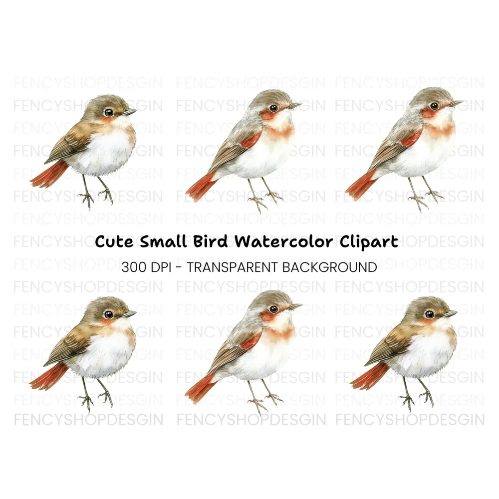 Cute Bird Clipart Bundle
