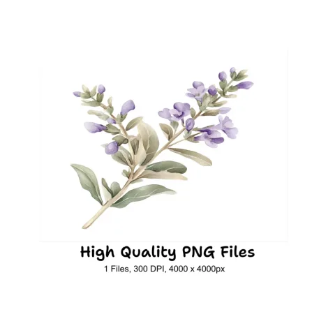 Delicate Lavender Sprig Clipart Bundle