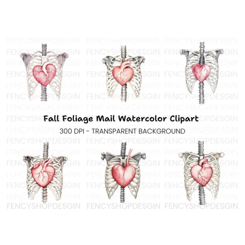 Anatomical Heart and Ribcage Clipart Bundle