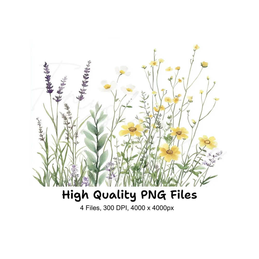 Wildflower Meadow Clipart Bundle