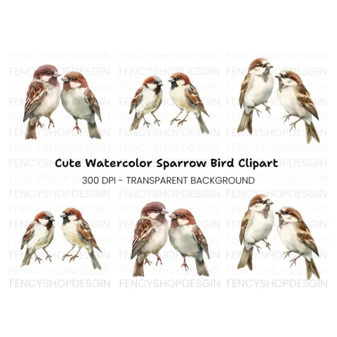 Sparrow Birds Clipart Bundle