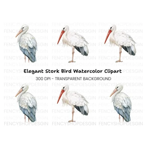 Vibrant Stork Designs Clipart Bundle