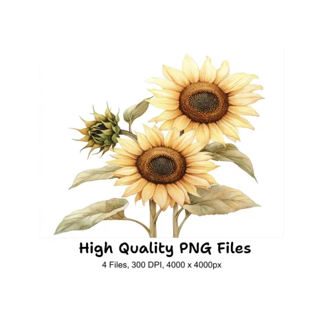 Sunny Sunflower Clipart Bundle