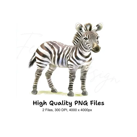 Cute Baby Zebra Clipart Bundle