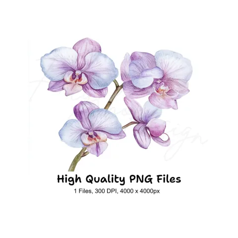Purple Orchid Clipart Bundle