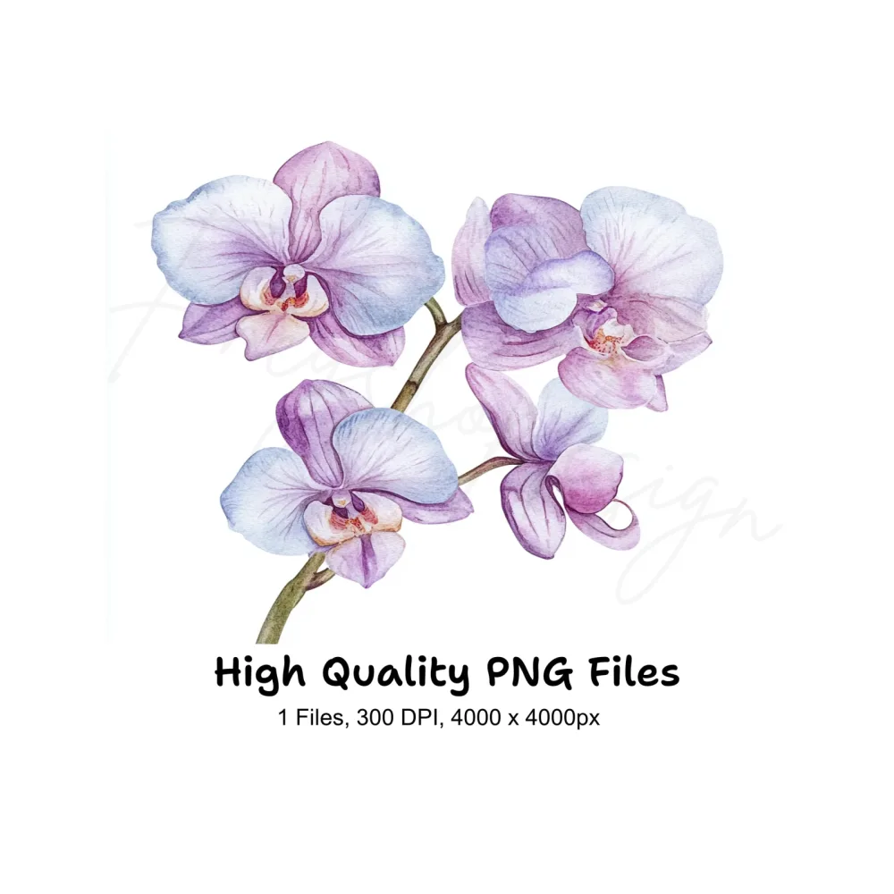 Purple Orchid Clipart Bundle
