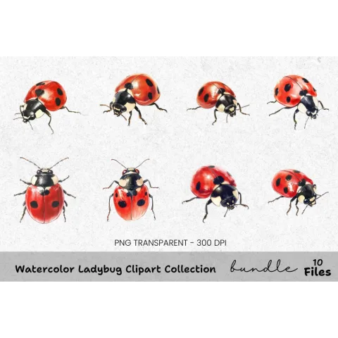 Ladybug Clipart Bundle