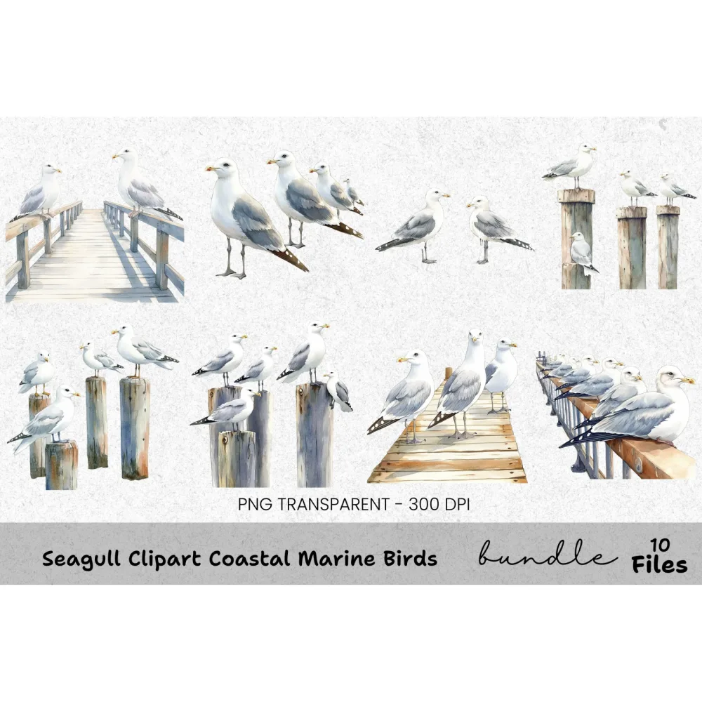 Seagull Coastal Marine Birds Clipart Bundle