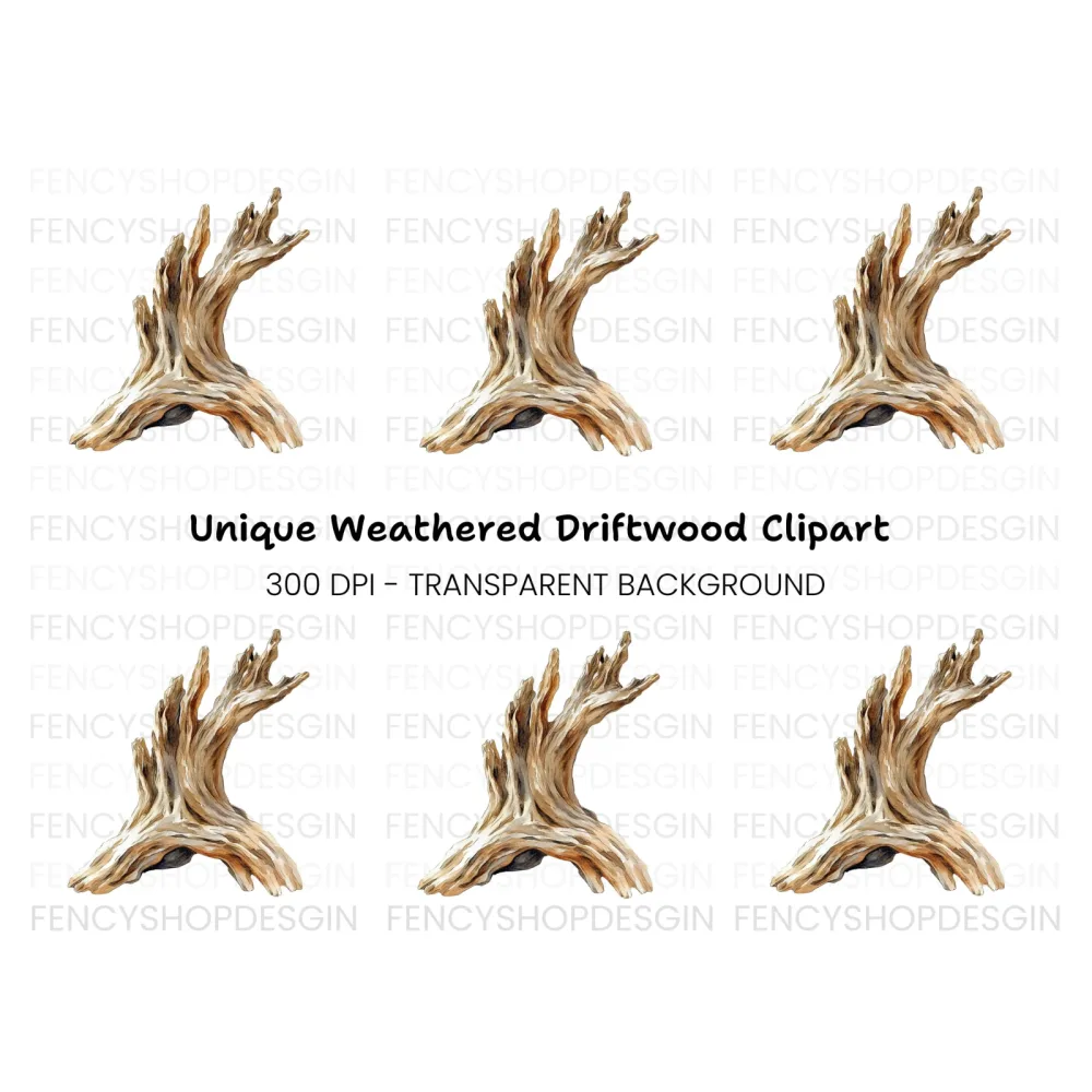 Rustic Driftwood Branch Clipart Bundle