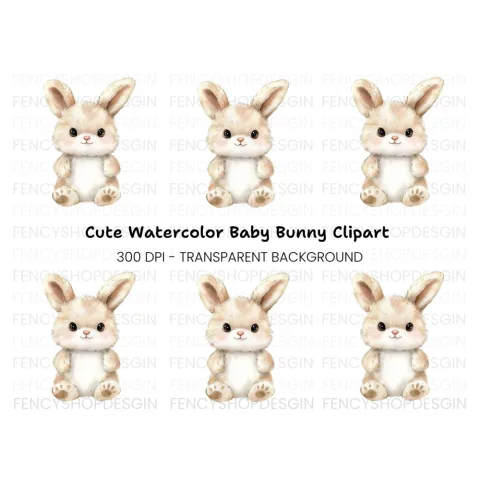 Adorable Fluffy Bunny Clipart Bundle