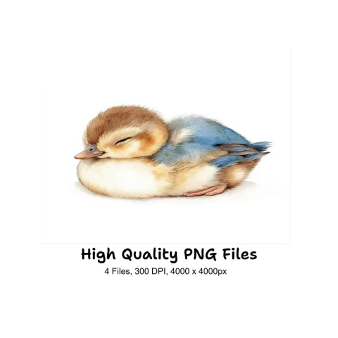 Cute Sleeping Duckling Clipart Bundle