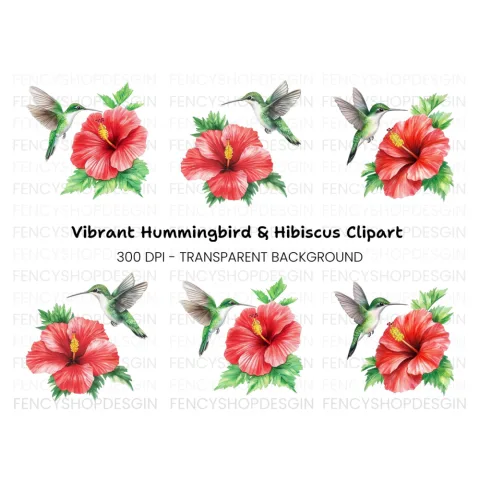 Hummingbird and Hibiscus Clipart Bundle