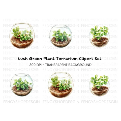 Miniature Plant Terrariums Clipart Bundle