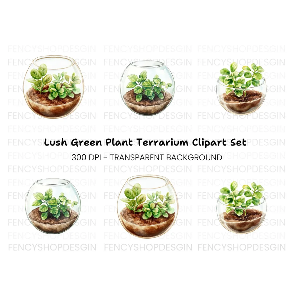 Miniature Plant Terrariums Clipart Bundle