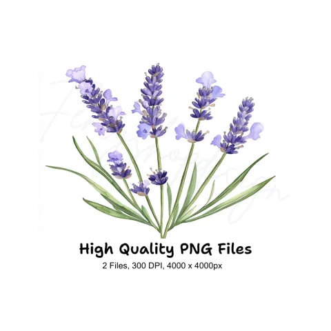 Elegant Lavender Graphics Clipart Bundle