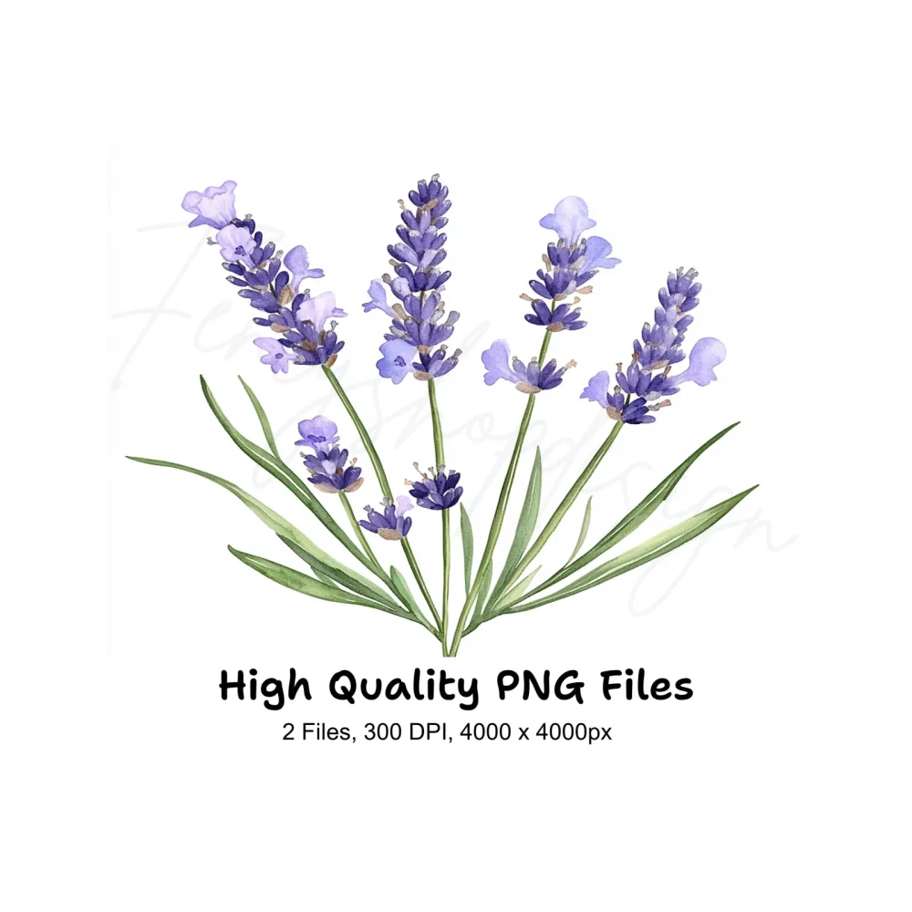 Elegant Lavender Graphics Clipart Bundle