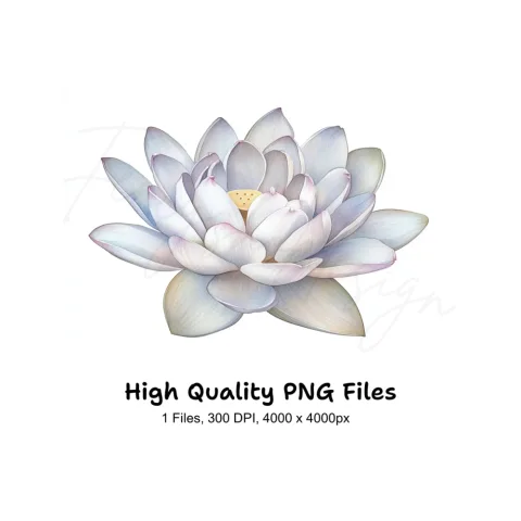 Graceful White Lotus Flower Clipart Bundle