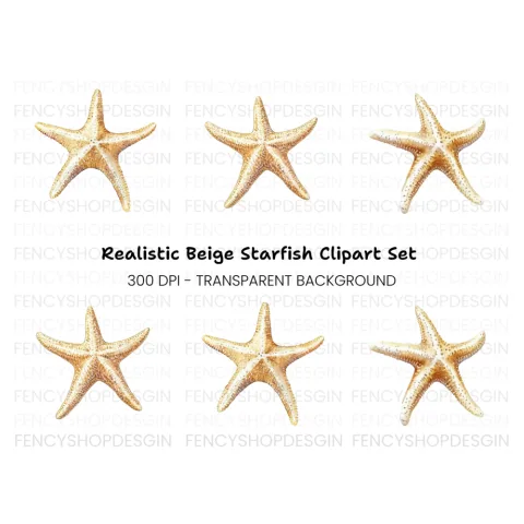 Starfish Clipart Bundle