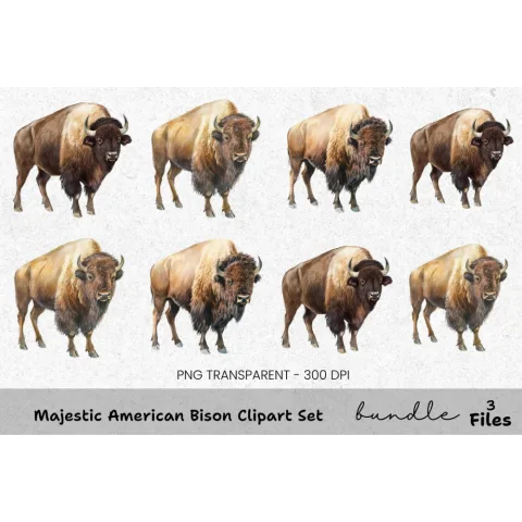 Majestic American Bison Clipart Bundle