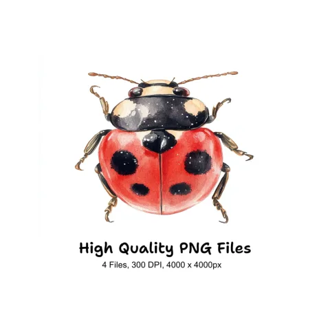 Ladybug Clipart Bundle