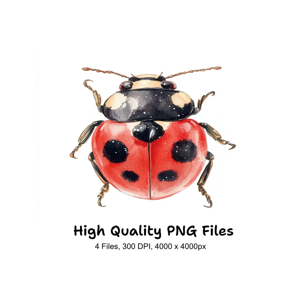 Ladybug Clipart Bundle