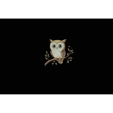 Cute Owl Embroidery Design